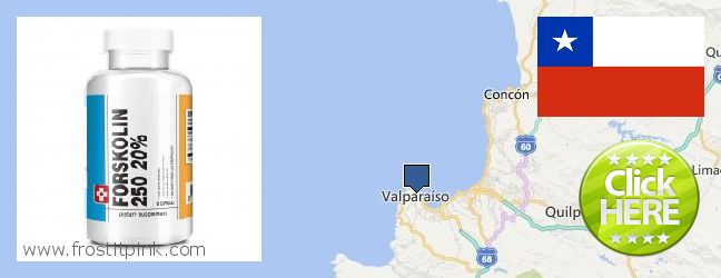 Dónde comprar Forskolin en linea Valparaiso, Chile