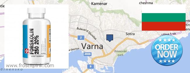 Where to Buy Forskolin Extract online Varna, Bulgaria