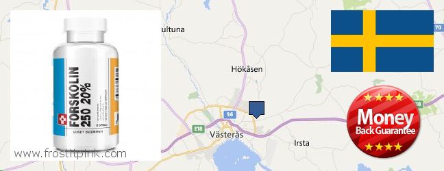 Buy Forskolin Extract online Vasteras, Sweden