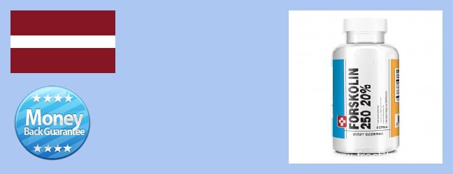 Purchase Forskolin Extract online Vec-Liepaja, Latvia