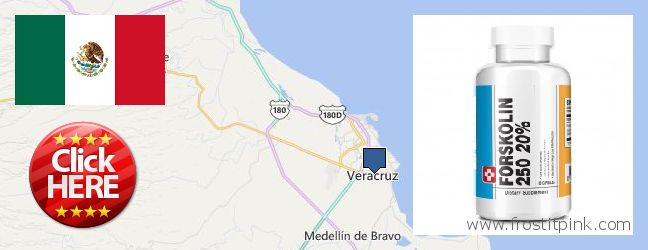 Where to Buy Forskolin Extract online Veracruz, Mexico