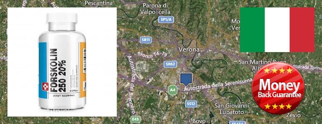 Dove acquistare Forskolin in linea Verona, Italy
