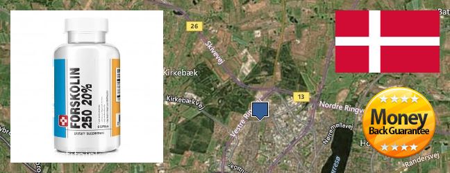 Where to Purchase Forskolin Extract online Viborg, Denmark