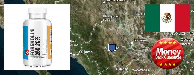 Where to Purchase Forskolin Extract online Victoria de Durango, Mexico