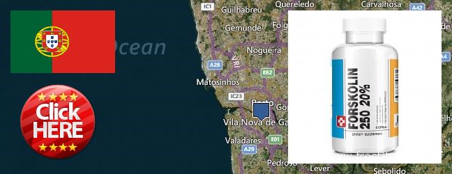 Where Can I Buy Forskolin Extract online Vila Nova de Gaia, Portugal