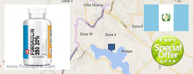 Where to Purchase Forskolin Extract online Villa Nueva, Guatemala
