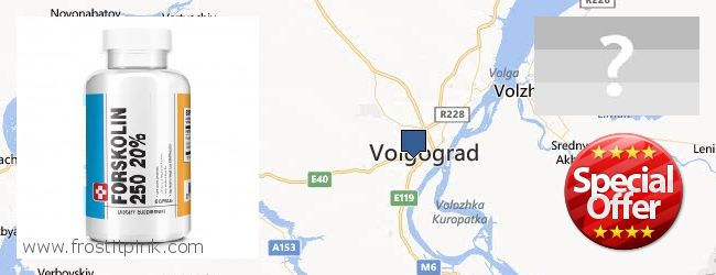 Где купить Forskolin онлайн Volgograd, Russia