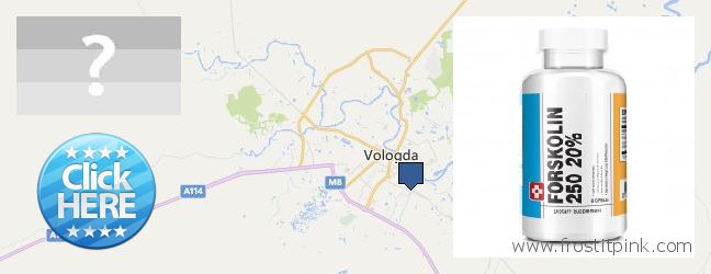 Kde kúpiť Forskolin on-line Vologda, Russia