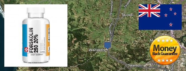 Purchase Forskolin Extract online Waitakere, New Zealand