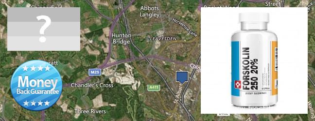 Buy Forskolin Extract online Watford, UK Where to Purchase Forskolin Extract online Watford, UK