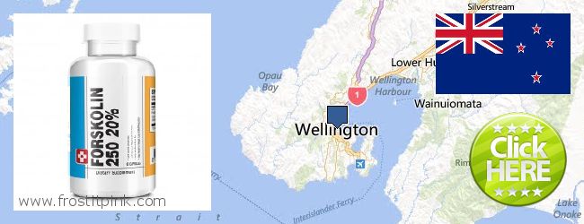 Where to Purchase Forskolin Extract online Wellington, New Zealand