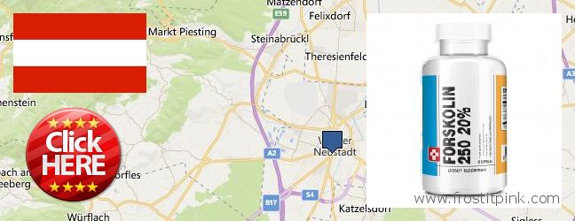 Where to Buy Forskolin Extract online Wiener Neustadt, Austria