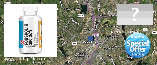 Var kan man köpa Forskolin nätet Worcester, USA