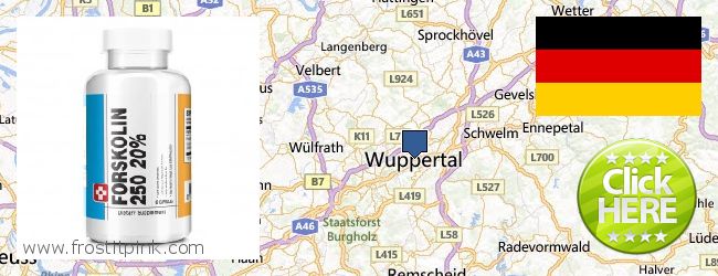 Hvor kan jeg købe Forskolin online Wuppertal, Germany