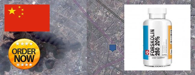 Where Can I Buy Forskolin Extract online Wuxi, China