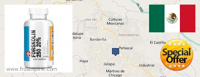 Where to Purchase Forskolin Extract online Xalapa de Enriquez, Mexico
