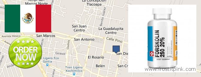 Dónde comprar Forskolin en linea Xochimilco, Mexico