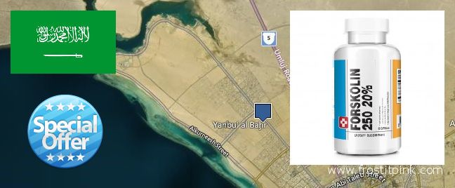 Best Place to Buy Forskolin Extract online Yanbu` al Bahr, Saudi Arabia