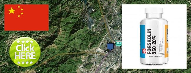 Where to Buy Forskolin Extract online Yunfu, China