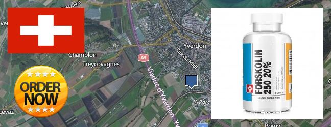 Where Can You Buy Forskolin Extract online Yverdon-les-Bains, Switzerland
