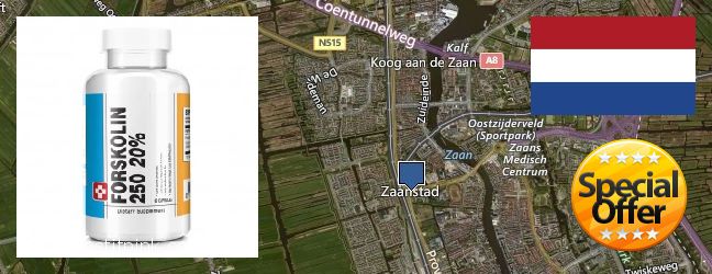 Where to Buy Forskolin Extract online Zaanstad, Netherlands