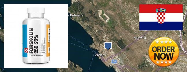 Where to Buy Forskolin Extract online Zadar, Croatia