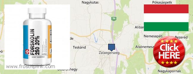 Unde să cumpărați Forskolin on-line Zalaegerszeg, Hungary
