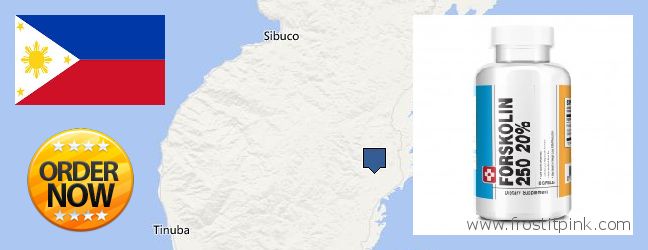 Purchase Forskolin Extract online Zamboanga, Philippines Where to Buy Forskolin Extract online Zamboanga, Philippines