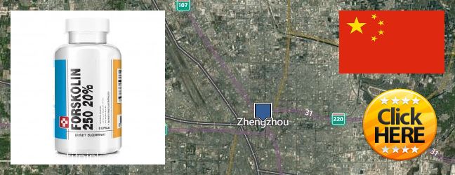 Where to Purchase Forskolin Extract online Zhengzhou, China