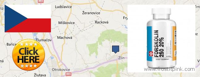 Къде да закупим Forskolin онлайн Zlin, Czech Republic
