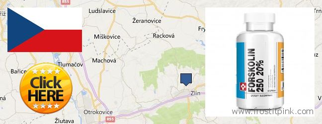 Kde koupit Forskolin on-line Zlin, Czech Republic