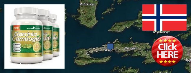 Where to Buy Garcinia Cambogia Extract online Alesund, Norway