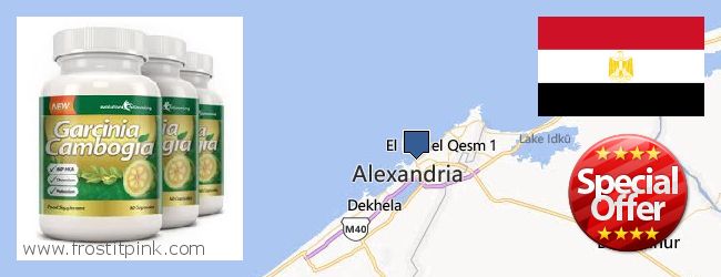 Purchase Garcinia Cambogia Extract online Alexandria, Egypt