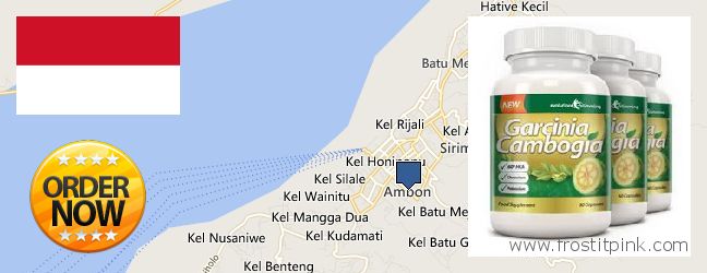 Buy Garcinia Cambogia Extract online Ambon, Indonesia Where to Buy Garcinia Cambogia Extract online Ambon, Indonesia