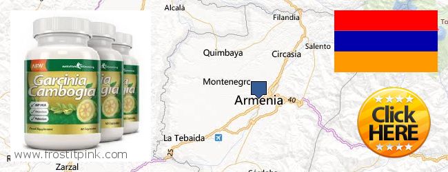 Buy Garcinia Cambogia Extract online Armenia