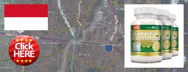 Where to Buy Garcinia Cambogia Extract online Bekasi, Indonesia