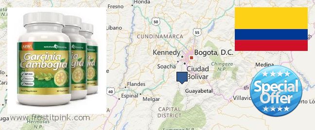 Dónde comprar Garcinia Cambogia Extract en linea Bogota, Colombia