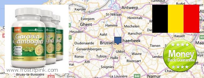 Waar te koop Garcinia Cambogia Extract online Brussels, Belgium