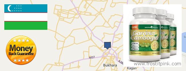 Where to Buy Garcinia Cambogia Extract online Bukhara, Uzbekistan