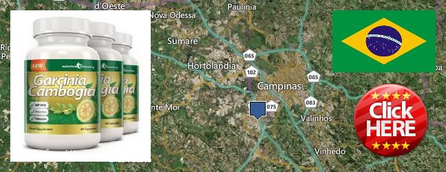 Dónde comprar Garcinia Cambogia Extract en linea Campinas, Brazil
