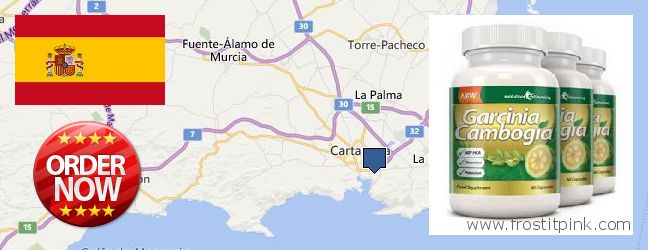 Where to Buy Garcinia Cambogia Extract online Cartagena, Spain