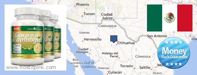 Dónde comprar Garcinia Cambogia Extract en linea Chihuahua, Mexico