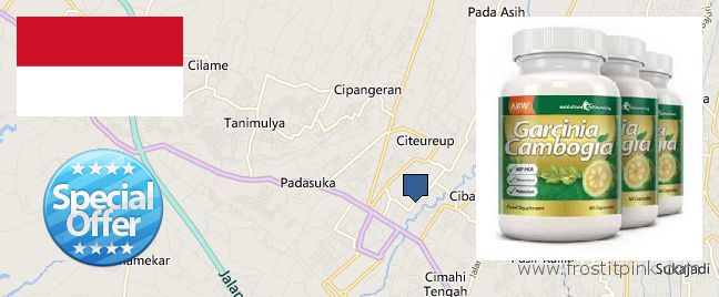 Buy Garcinia Cambogia Extract online Cimahi, Indonesia
