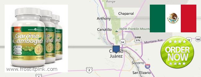 Dónde comprar Garcinia Cambogia Extract en linea Ciudad Juarez, Mexico