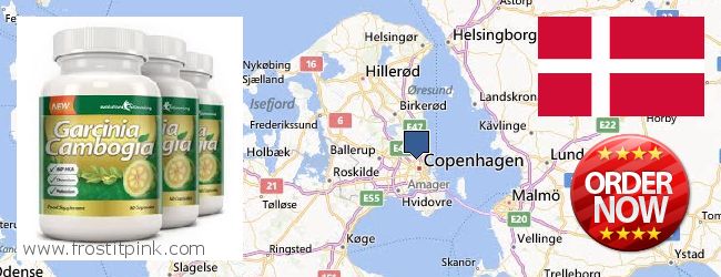 Wo kaufen Garcinia Cambogia Extract online Copenhagen, Denmark