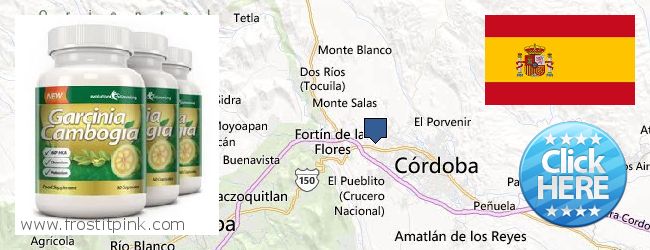 Dónde comprar Garcinia Cambogia Extract en linea Cordoba, Spain