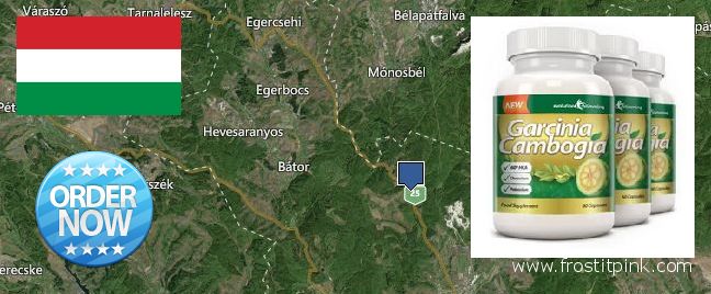 Hol lehet megvásárolni Garcinia Cambogia Extract online Eger, Hungary