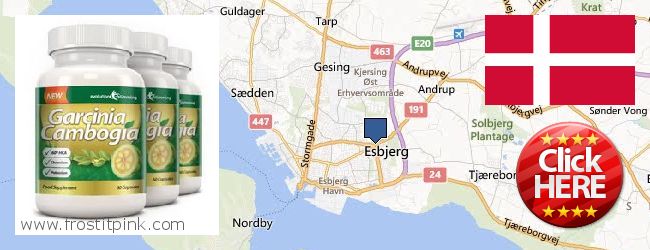 Wo kaufen Garcinia Cambogia Extract online Esbjerg, Denmark