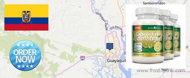 Dónde comprar Garcinia Cambogia Extract en linea Guayaquil, Ecuador