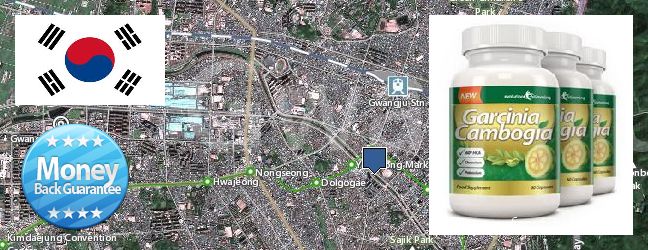 Where Can You Buy Garcinia Cambogia Extract online Gwangju, South Korea